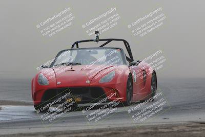 media/Jul-31-2022-Speed Ventures (Sun) [[bfb4b6530b]]/Black Group/Grapevine/